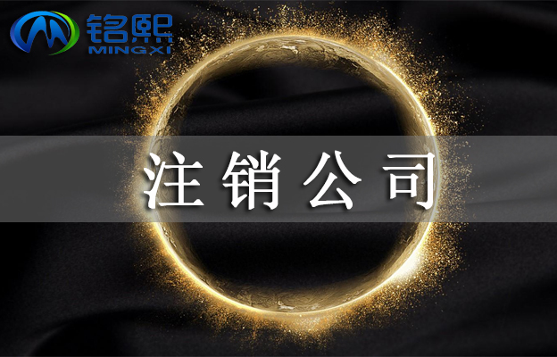 广州公司注销的流程和费用